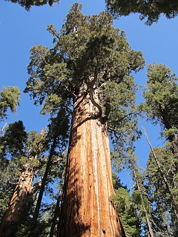 IMG_3954.jpg
