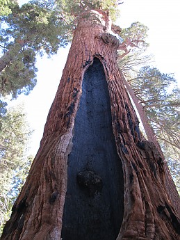 IMG_3946.jpg