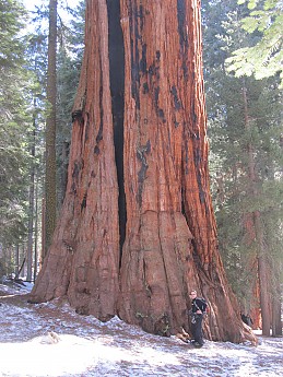IMG_3939.jpg