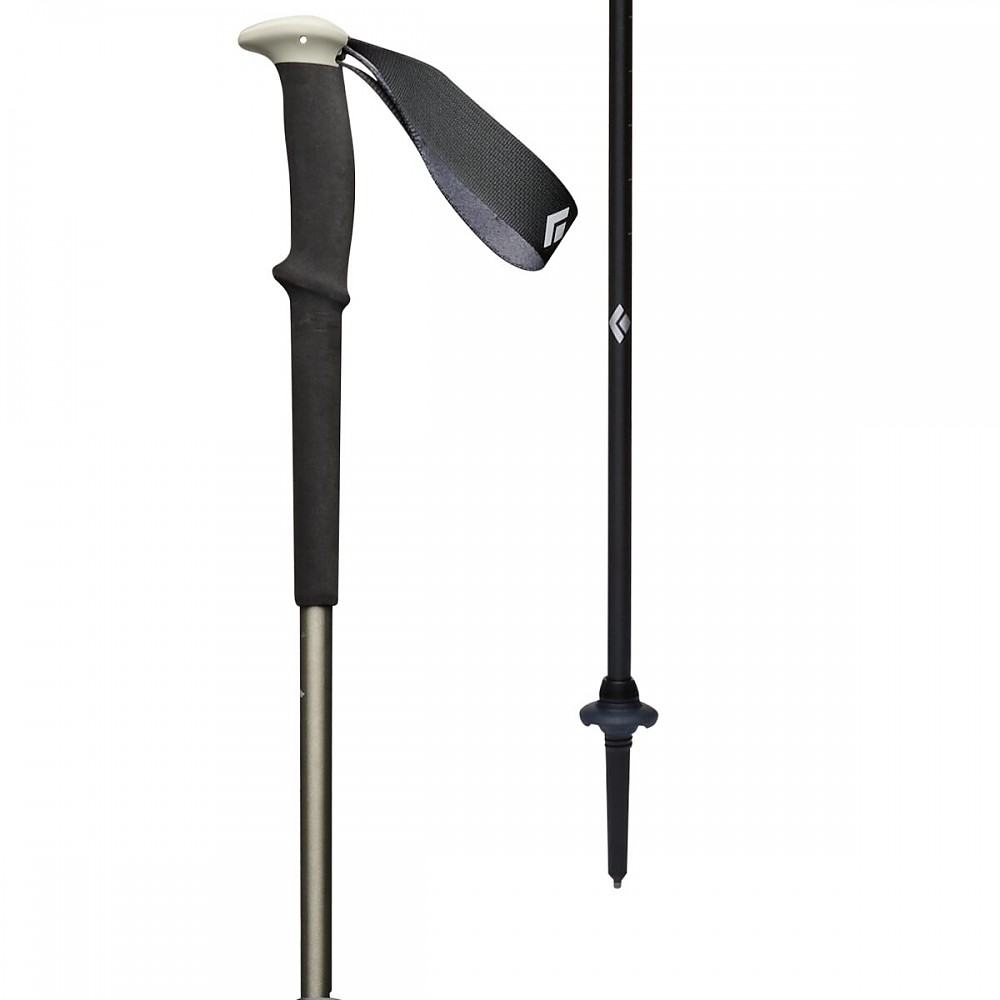photo: Black Diamond Trail rigid trekking pole
