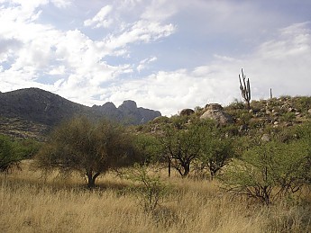 View-of-mountains-in-west-Catalinas-alon