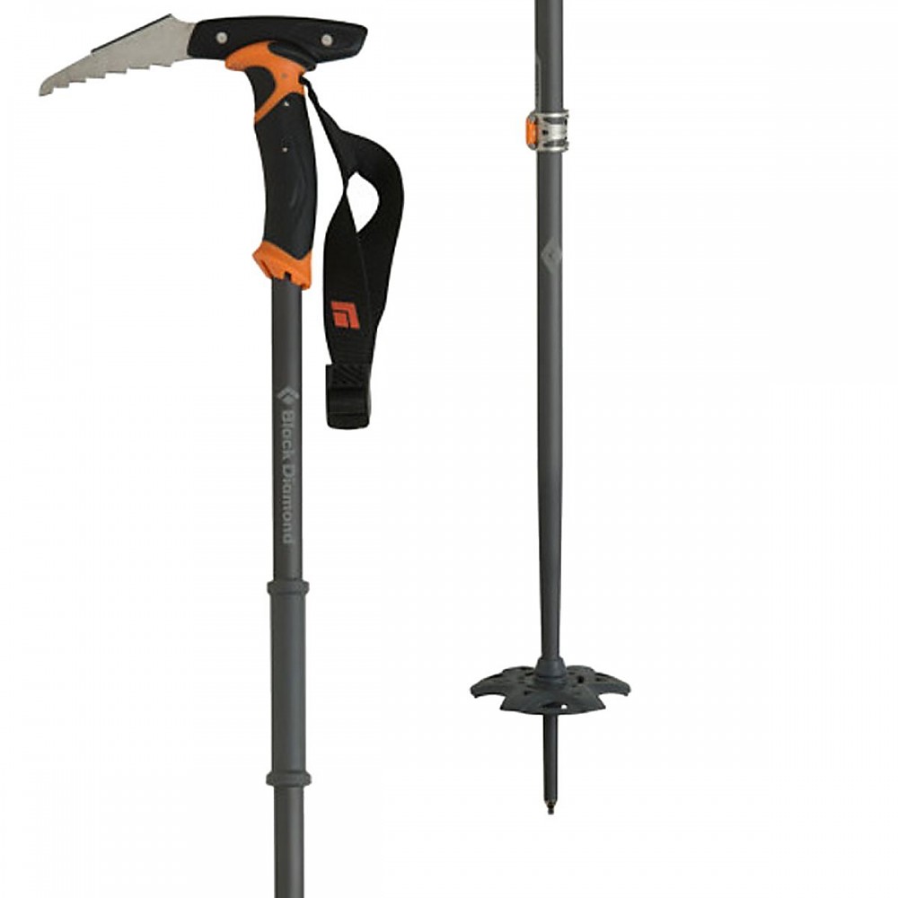 photo: Black Diamond Whippet alpine touring/telemark pole