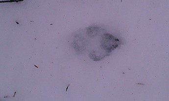 IMAG0953.jpg