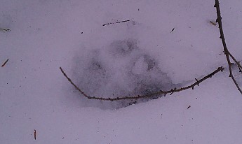 IMAG0952.jpg