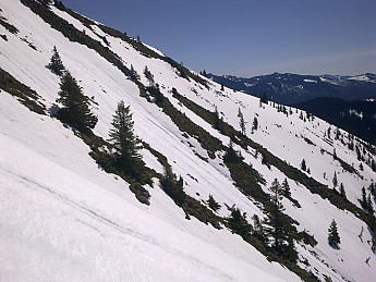 06042011217-1-.jpg