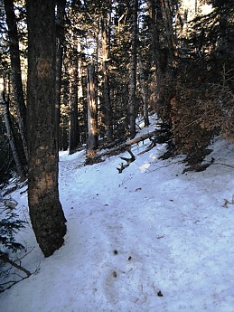 trail-25.jpg