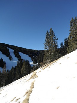 where-s-the-trail.jpg