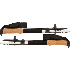 photo: Black Diamond Alpine FLZ rigid trekking pole