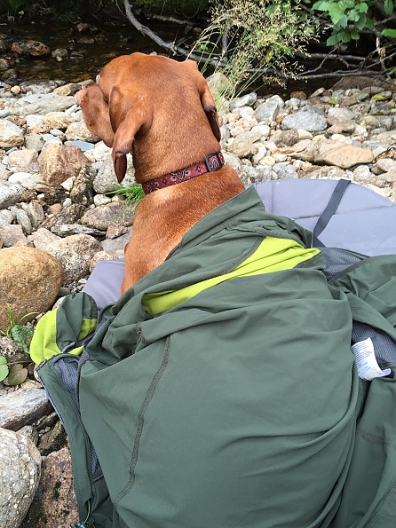 Ruffwear Highlands Landing Pad Reviews Trailspace