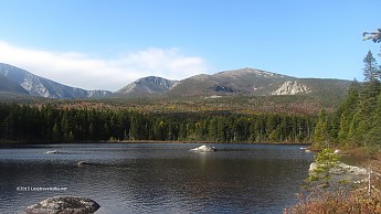 IMG_5431a.jpg