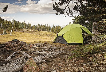 camp-at-MusicPs.jpg