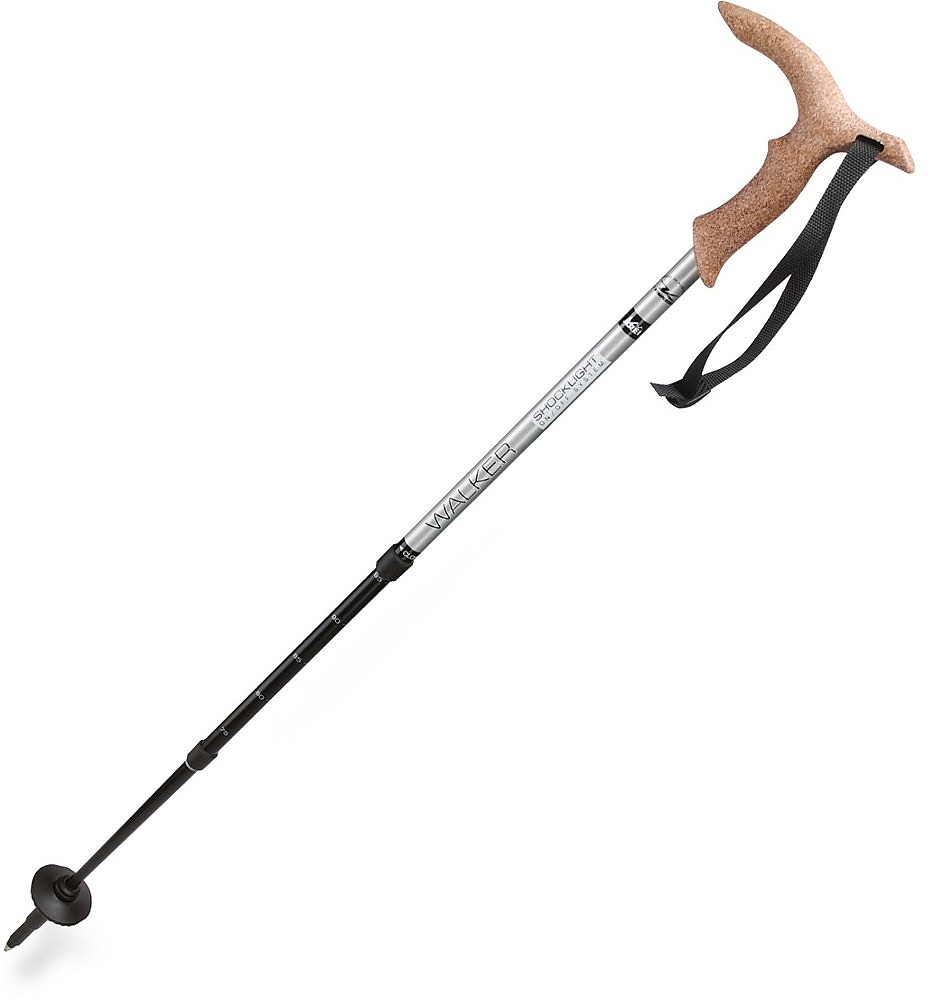 photo: REI City and Trail Walker Shocklight hiking staff