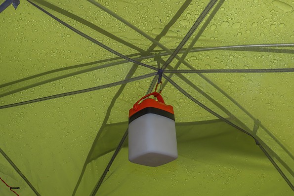 canoedog66and67-39-drops-on-mesh-tent.jpg