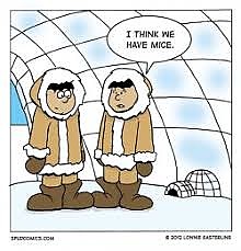 coldmice.jpg