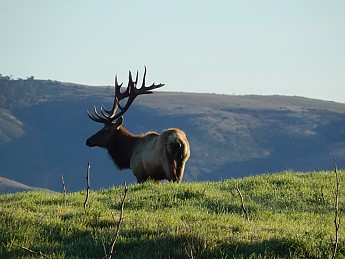 DSCN1127.jpg