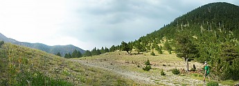 Doyle-Saddle-at-dawn-2.jpg