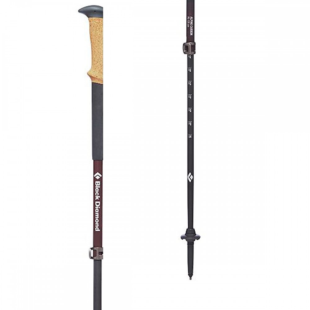 photo: Black Diamond Women's Alpine Carbon Cork rigid trekking pole