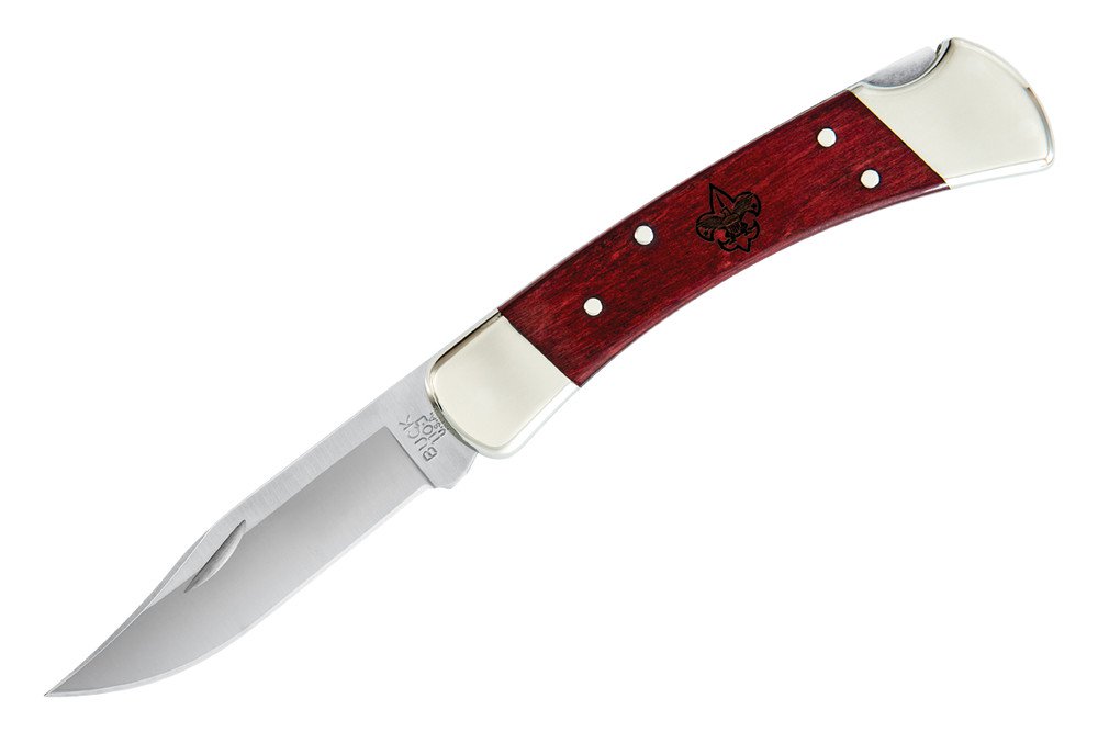 photo: Buck 110 Folding Hunter folding knife