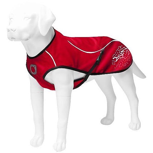 photo: Stunt Puppy  Sub Woofer dog coat/vest