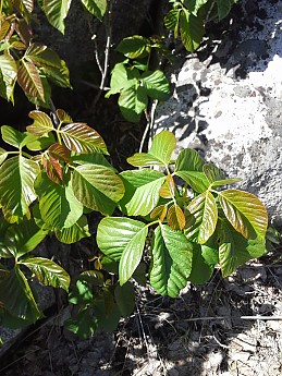 20130505_145038.jpg