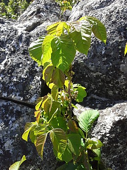 20130505_145034.jpg