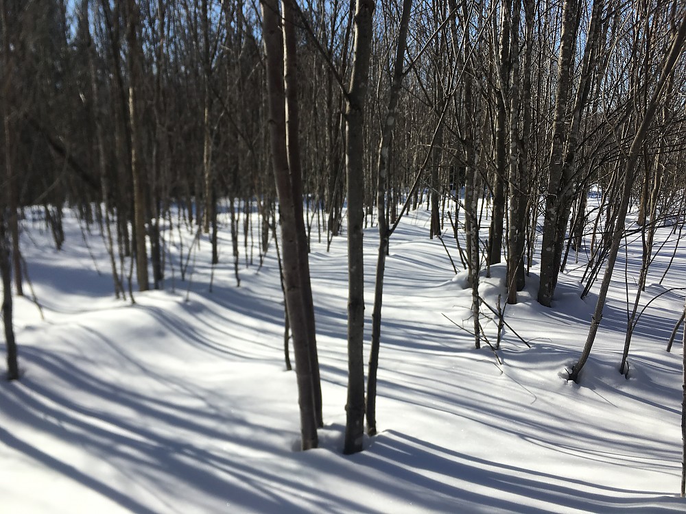 GV Snowshoes Wide Trail Reviews Trailspace