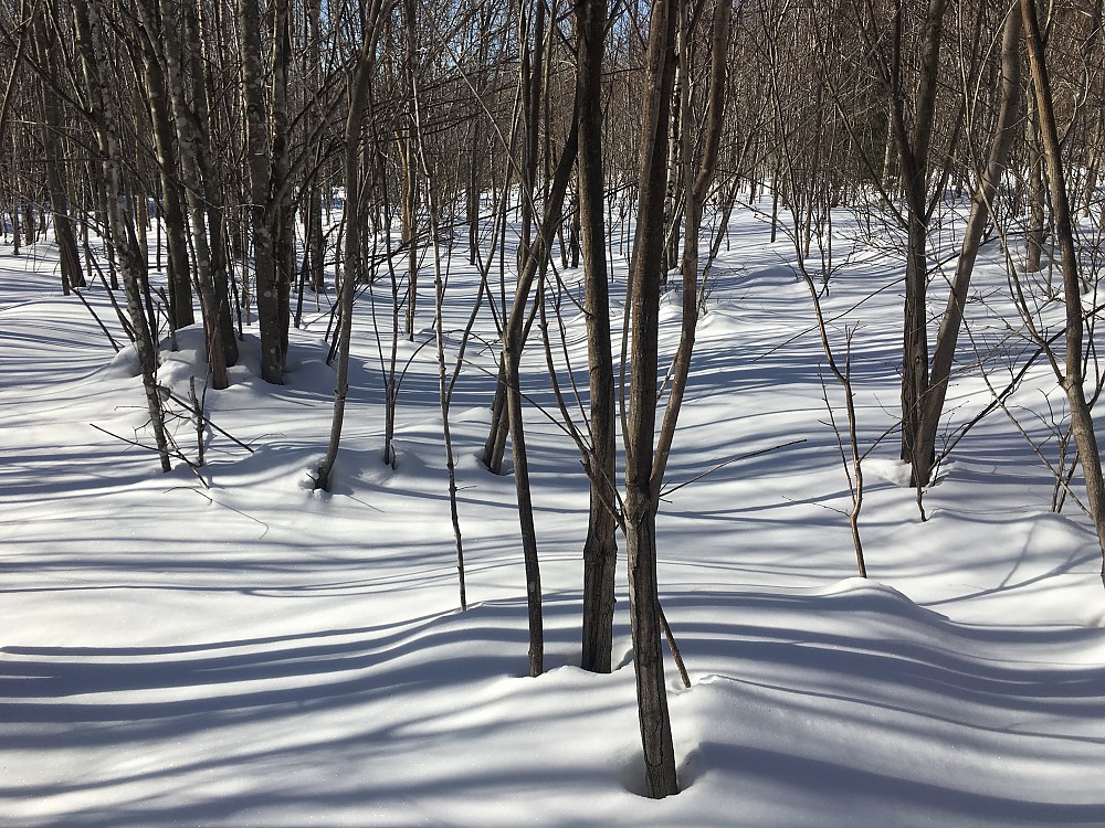 GV Snowshoes Wide Trail Reviews Trailspace