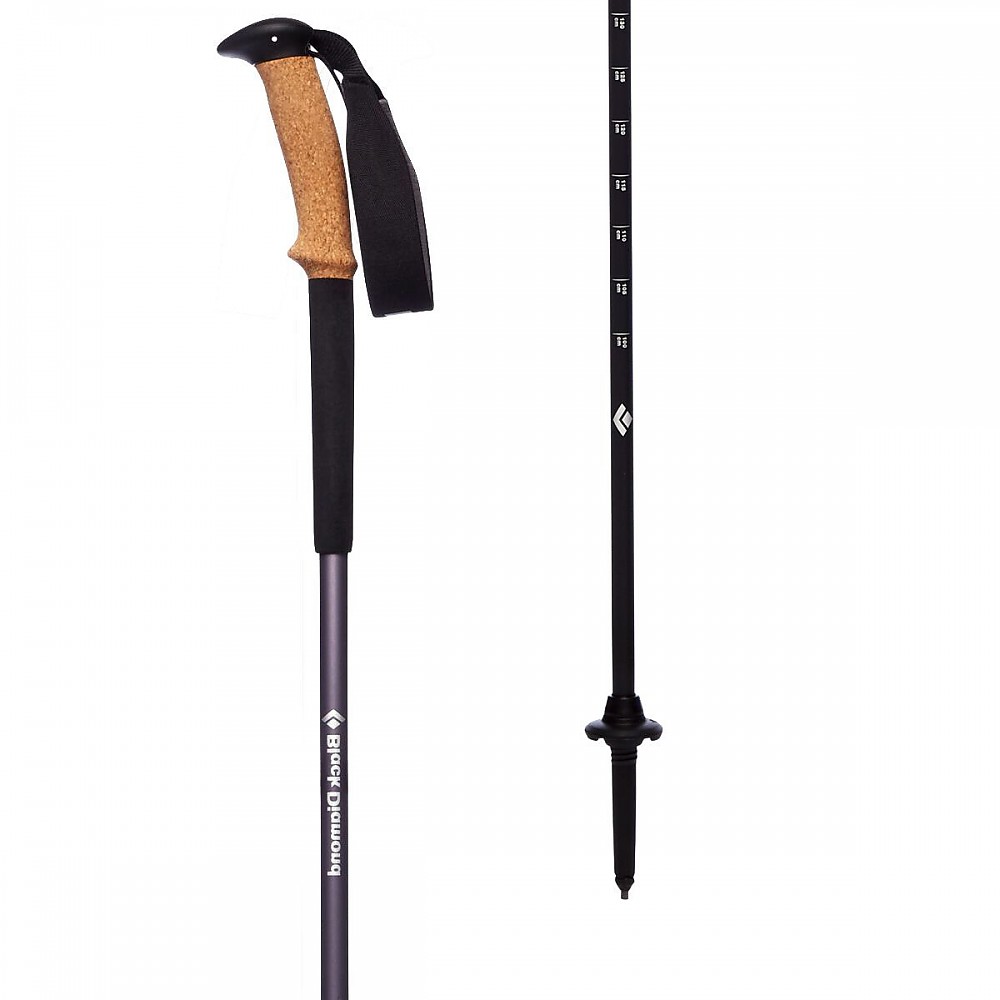 photo: Black Diamond Trail Ergo Cork rigid trekking pole