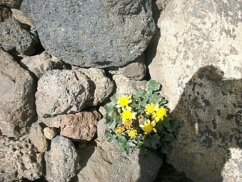 Aug-26-to-28th-hike-to-Humphreys-063.jpg