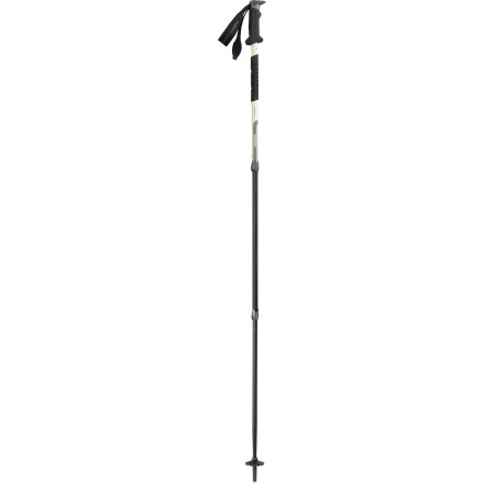 photo: MSR Surelock UL-3 rigid trekking pole