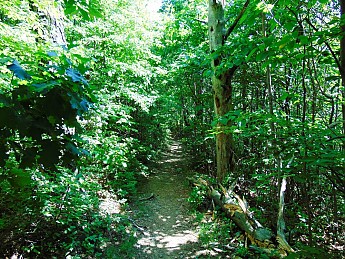 Cminey-Rock-Trail-Resisized-.jpg