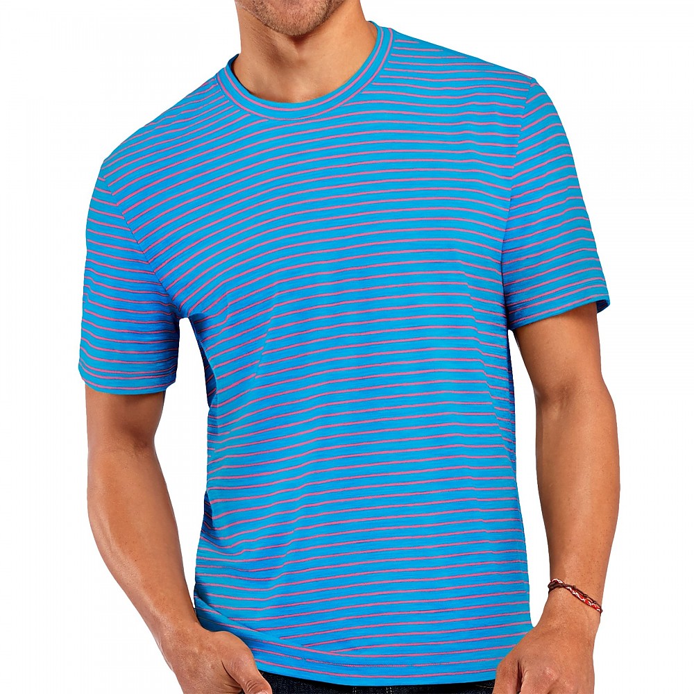 photo: Icebreaker Tech Lite Short Sleeve Crewe short sleeve performance top