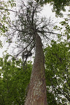 DPP_Moultrie_Passage0018.jpg