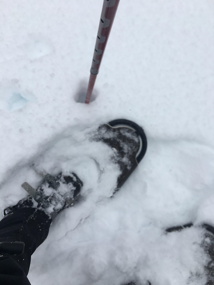 GV Snowshoes Wide Trail Reviews Trailspace