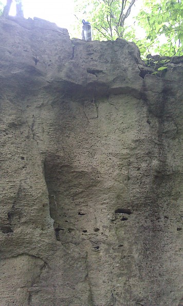 IMAG0209.jpg