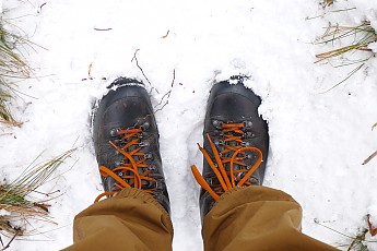 Trip-194-73--XL.jpg