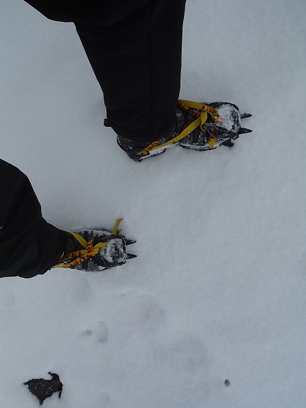 Grivel G10 - Crampons, Free EU Delivery