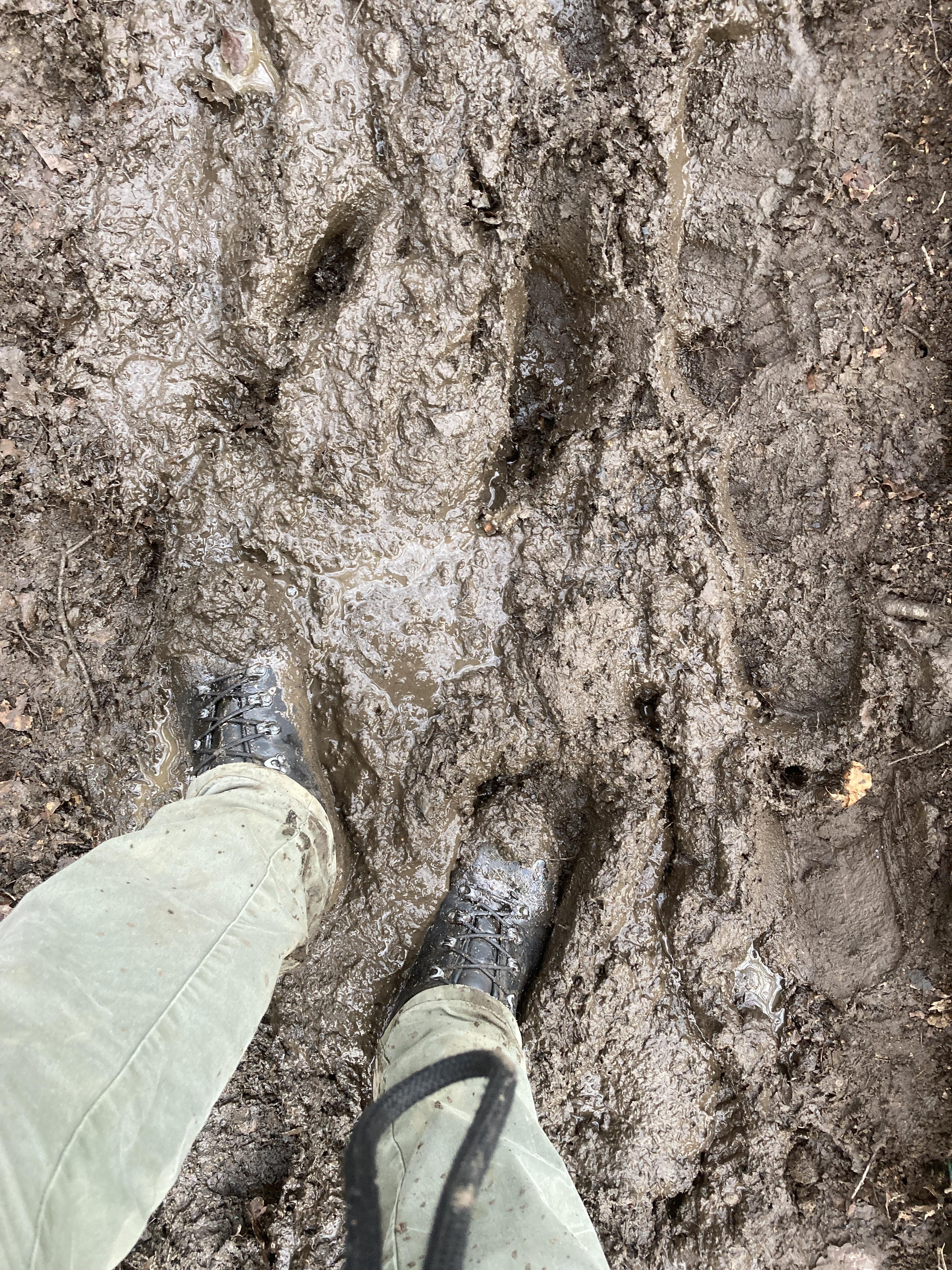 photo: Lowa Tibet Pro GTX backpacking boot