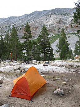 IMG_1406.jpg