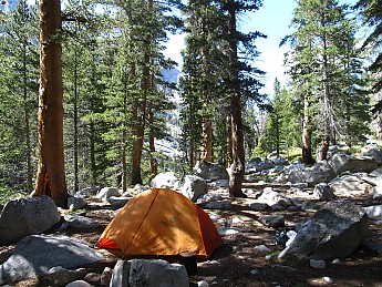 IMG_1050.jpg