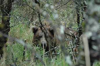 DSC_0120.jpg
