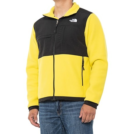 photo: The North Face Denali 2 Jacket fleece jacket