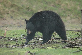 DSC_0020.jpg
