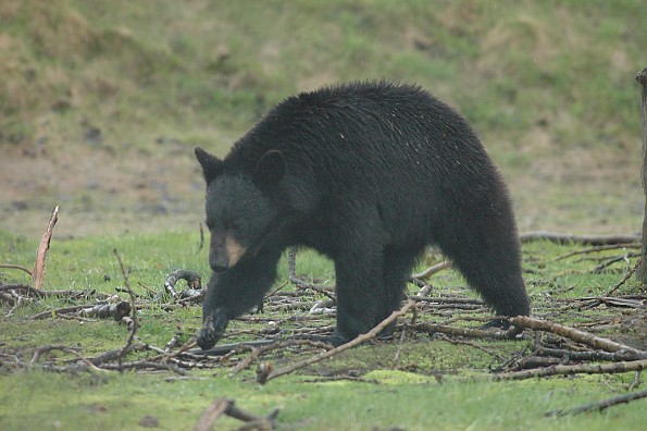 DSC_0020.jpg