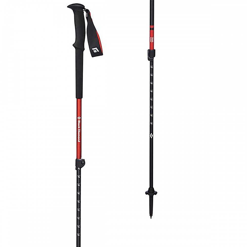photo: Black Diamond Trail rigid trekking pole