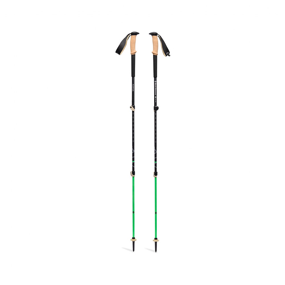 photo: Black Diamond Trail Cork rigid trekking pole