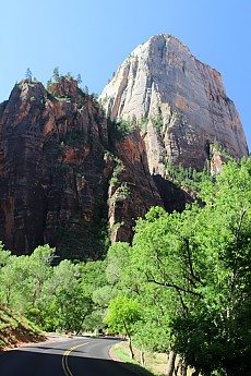IMG_7341.jpg
