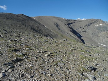 DSC02477.jpg