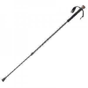 Tracks 2025 hiking stick