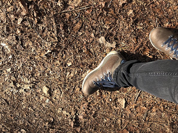 L.L.Bean Alpine Hiking Boots, Leather 